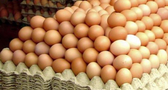 Produse "fierte" de soare. Cum sunt păstrate la plus 40 de grade. Foto: libertatea.ro