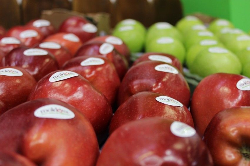 В конце декабря 2018 года в Саудовскую Аравию группой производителей Select Fruit был отправлен третий контейнер молдавских яблок.
