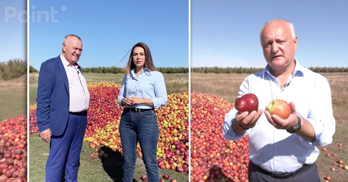 O grămadă de mere a devenit motivul unei dispute între Igor Dodon și ministra Agriculturii.
