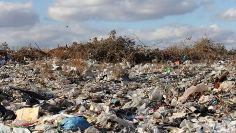 По закону, штраф за выброс мусора в неположенном месте составляет 800 леев.