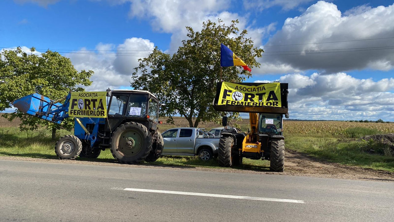 Forța Fermierilor призывает временно запретить ввоз зерна из Украины.