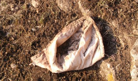 Un tânăr de 21 de ani, originar din satul Mateuţi, raionul Rezina, este suspectat de omorul adolescentei al cărui corp a fost desfigurat de câini.