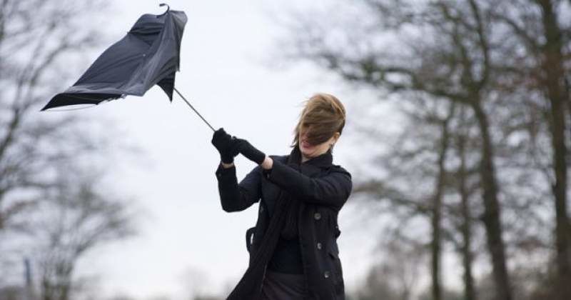Prognoza meteo: Va ninge în toată ţară şi va viscoli slab. Foto: a1.ro