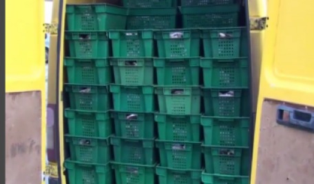В результате мужчина был оштрафован на 3000 леев, а около 3 тонн живой рыбы было конфисковано.