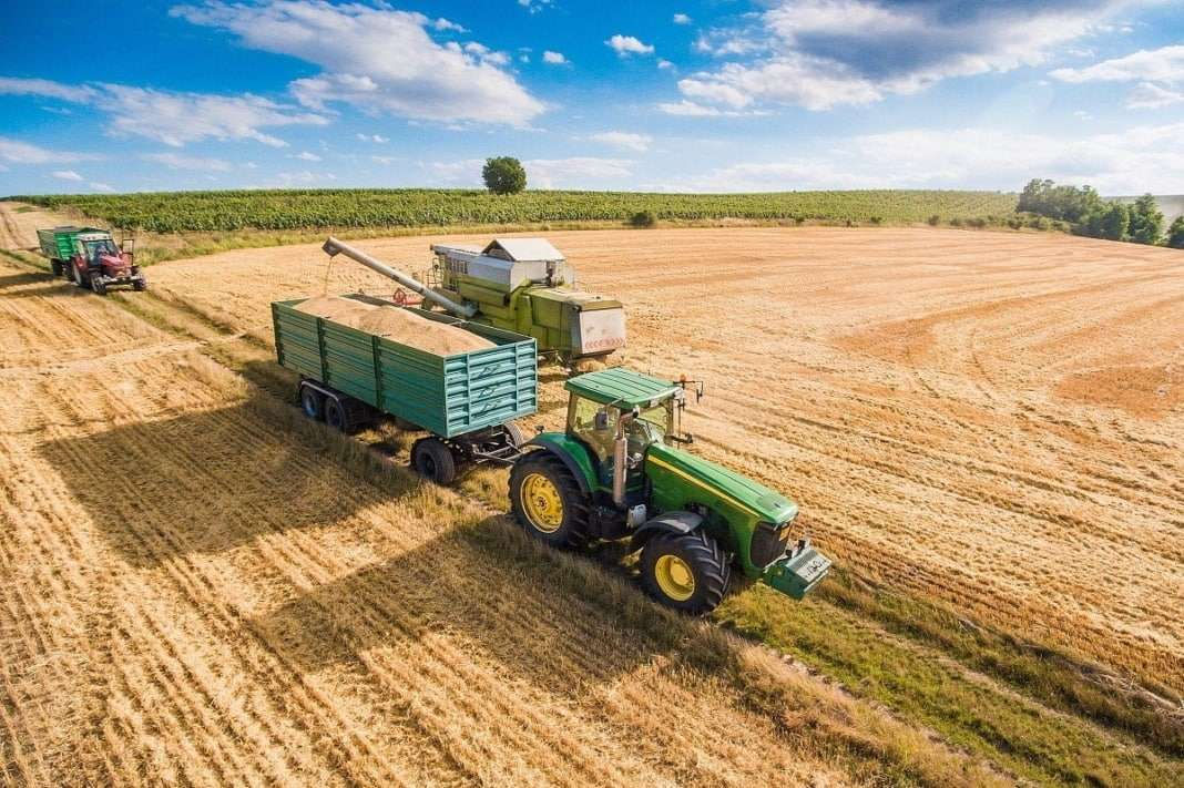 AIPA в декабре 2025 года одобрило выплаты сельхозсубсидий фермерам на 90,75 млн леев.