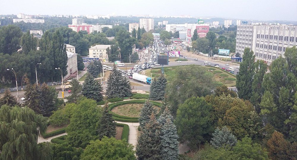 Angajații de la Spații Verzi vor defrișa mai mulți arbori de pe bulevardul Ștefan cel Mare și Sfânt din Capitală.