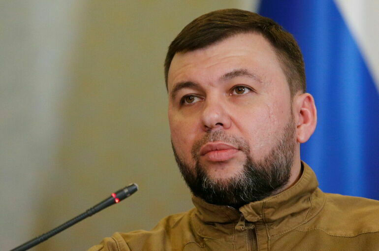 Глава аннексированной ДНР Денис Пушилин.