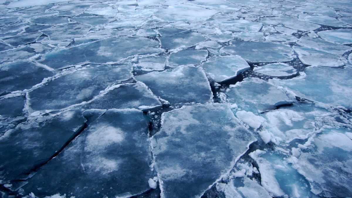 Salvatorii îndemnă pescarii să nu pescuiască la copcă. Foto: highnorthnews.com