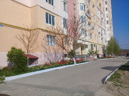 В Чадыр-Лунге объявлен конкурс «Самые благоустроенные двор и улица».