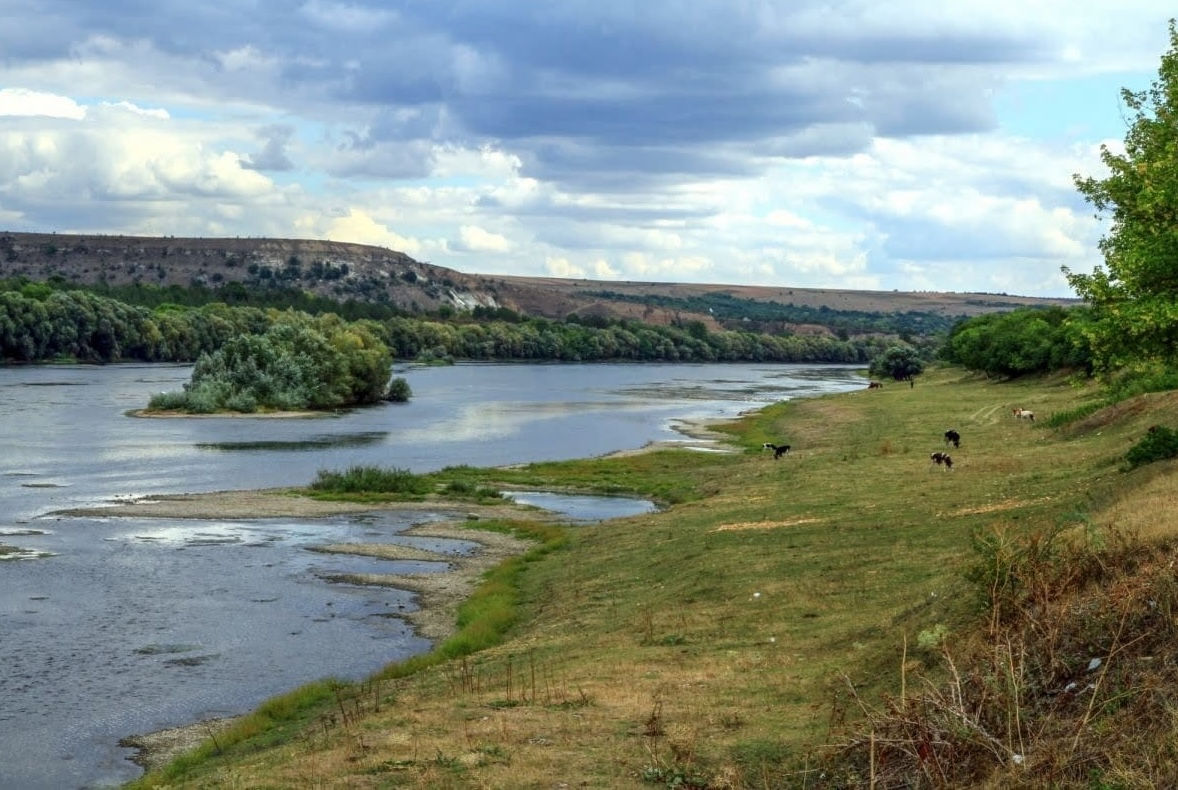 Ecologist: Apa în râul Nistru continuă să scadă și se apropie de un nou record.