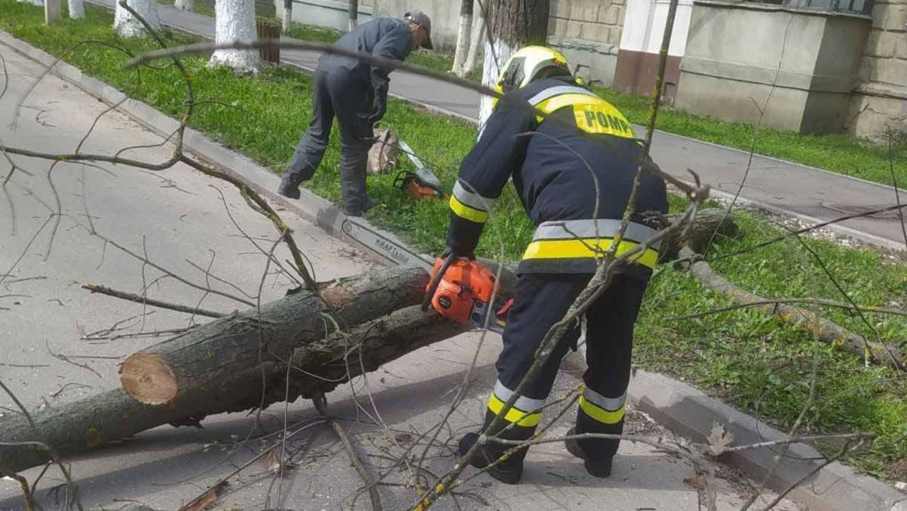 В Молдове из-за сильного ветра спасатели зафиксировали 58 вызовов.