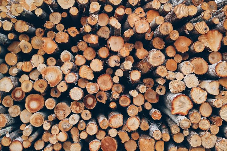 Autoritățile din Ceadîr-Lunga oferă lemne familiilor cu venituri mici