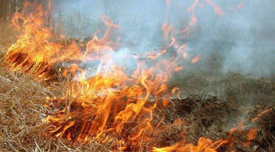 В Молдове продлили "желтый" уровень чрезвычайной пожароопасности.