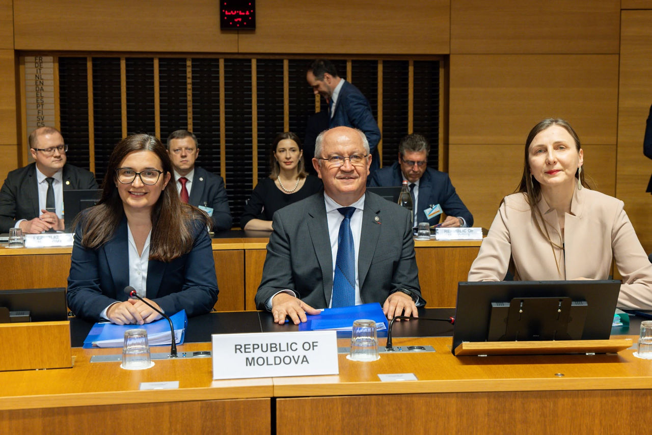 Munteanu: Moldova acceptă pași intermediari pe calea aderării la Uniunea Europeană.