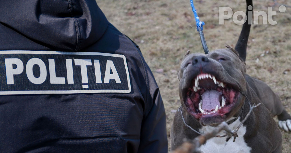 Un bărbat din Capitală a atacat polițiștii cu un Pitt Bull.