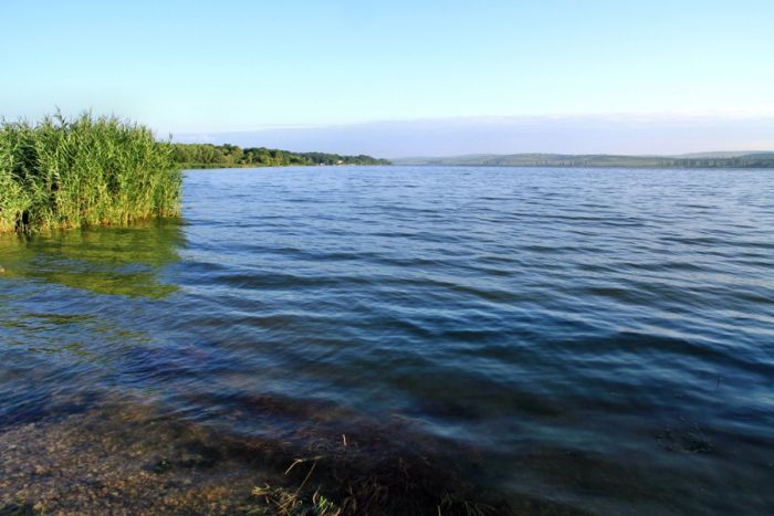 Незаконные озера чреваты заиливанием Гидигича и реки Бык.  Фото: ecology.md