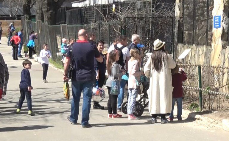 В настоящее время в коллекции зоопарка более 1000 животных разных видов со всех континентов, даже из Антарктиды.