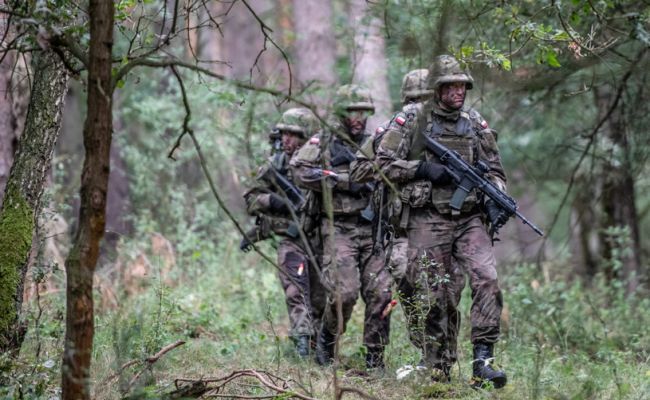 Армия Польши понесла многомиллионный ущерб из-за поставок некачественной обуви.