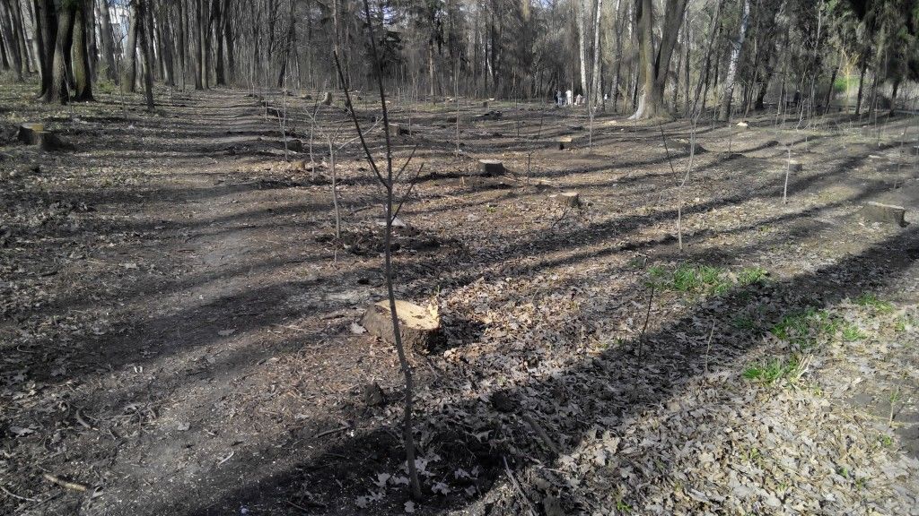 Работы затянутся на несколько дней.