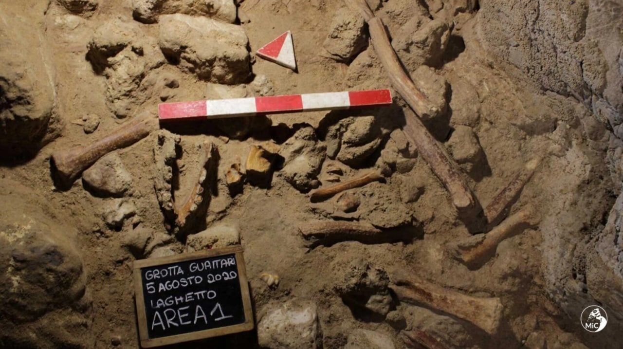 В Италии археологи нашли останки девяти неандертальцев.