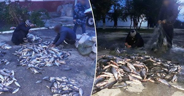 Пограничники из Кагула задержали браконьеров с 200 кг рыбы.