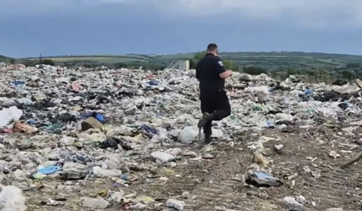 На свалке в Порумбенах обнаружили опасные отходы и румынские водительские права.