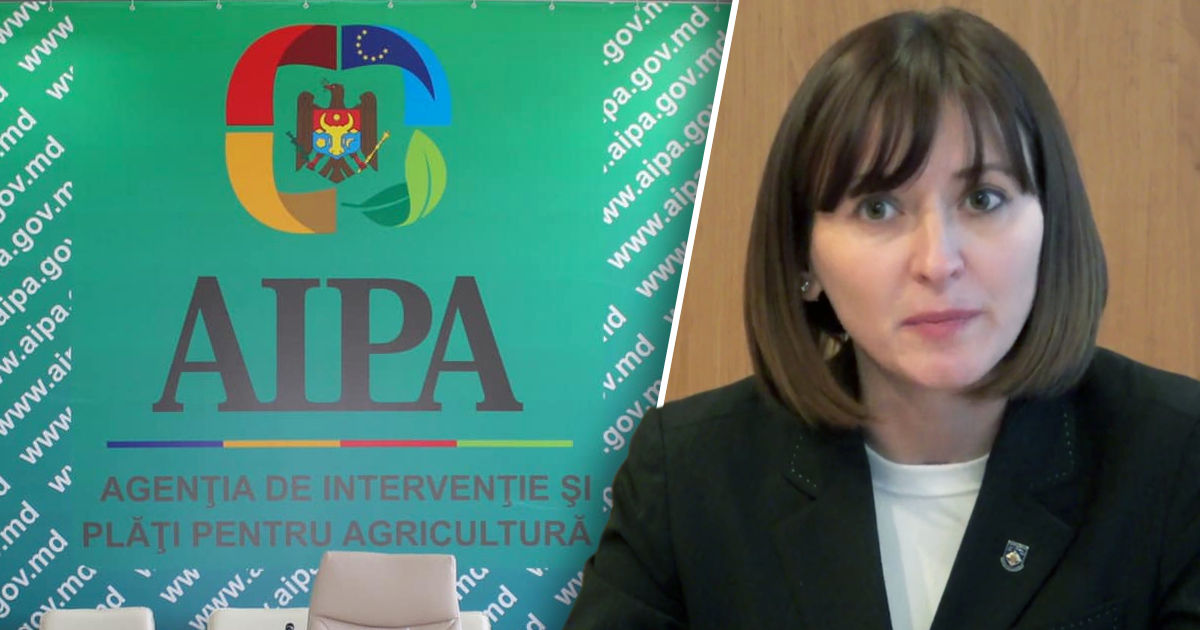По делу о хищении средств AIPA задержаны шесть человек. Коллаж: Point.md