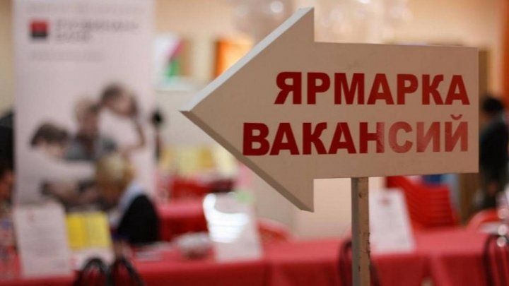 В Национальном дворце имени Николая Сулака проходит ярмарка вакансий.