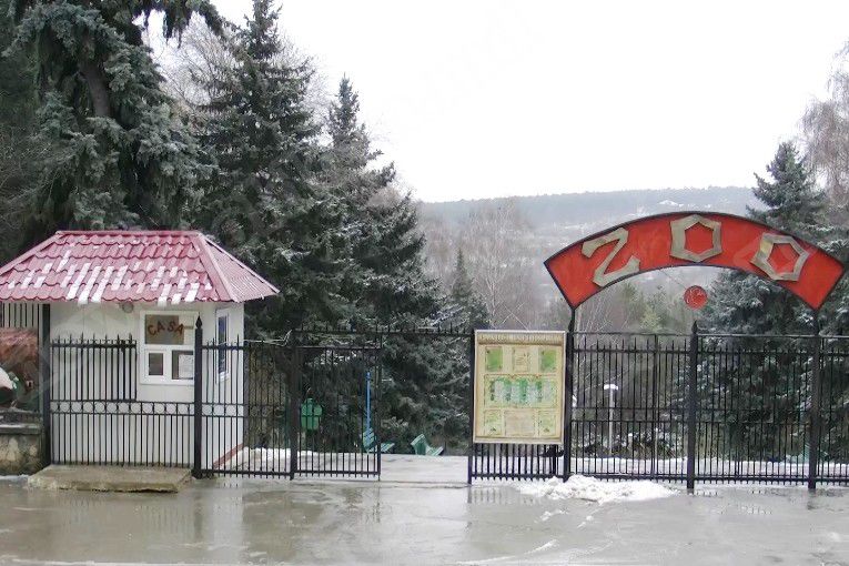 В зоопарке столицы содержатся более 160 видов животных и экзотических птиц. Фото: noi.md