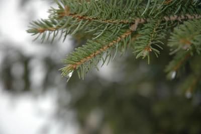 Prognoza meteo: Temperaturile continuă să fie generoase