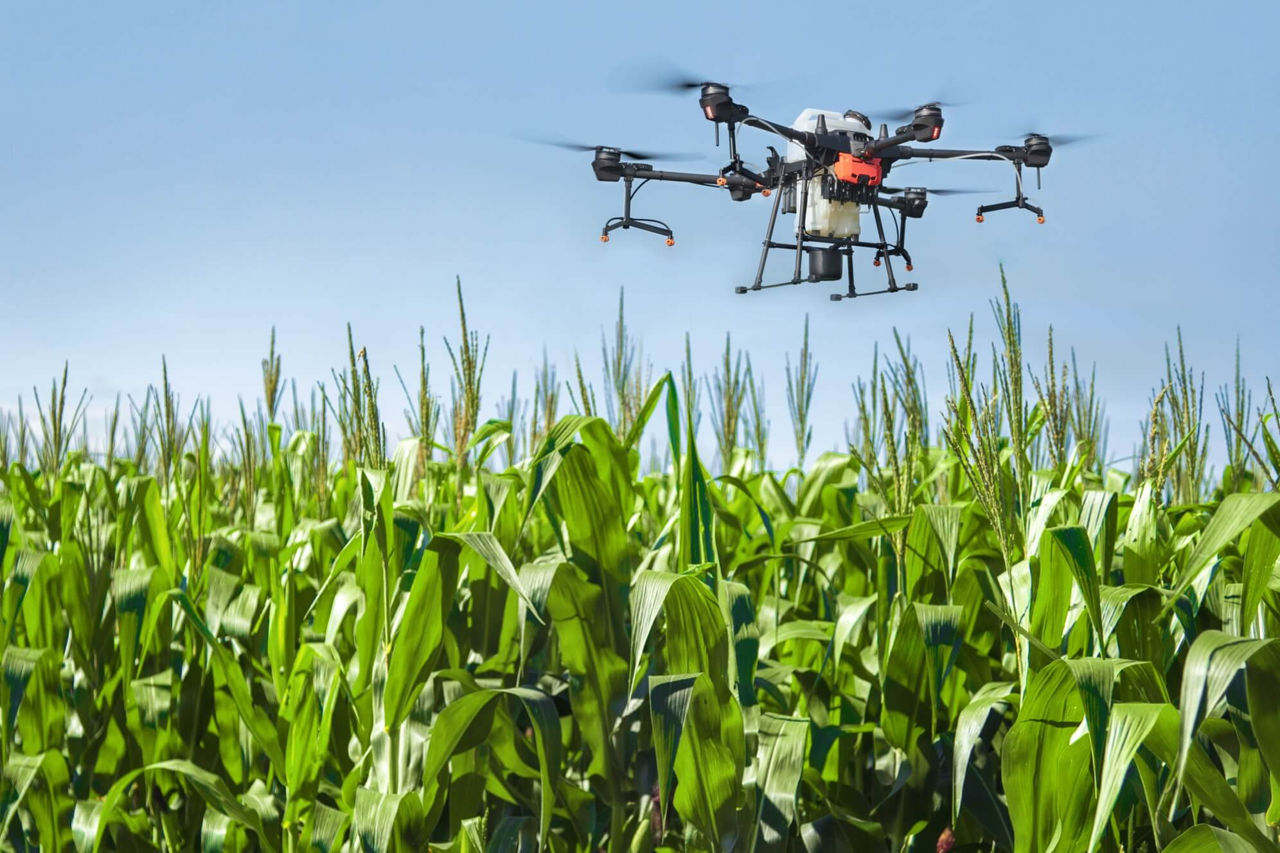 România poate ajuta Moldova să-și protejeze câmpurile de vreme rea cu ajutorul dronelor.
