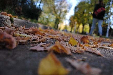 În următoarele zile vremea nu se va schimba esențial. Foto: citynews.ro