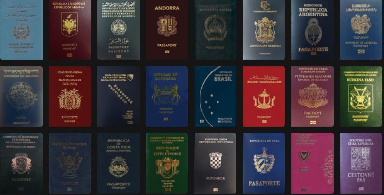 МИД ОАЭ ранее запустил инициативу Passport Force.