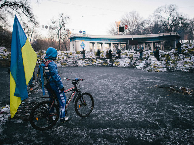 Украинская оппозиция разошлась в планах конституционной реформы
