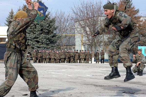 Батальон особого назначения Fulger Национальной армии  был основан 1 ноября 1992 года президентским указом.