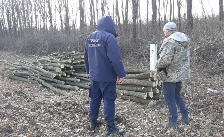 Житель села Гримэнкэуць попался на незаконной вырубке деревьев.