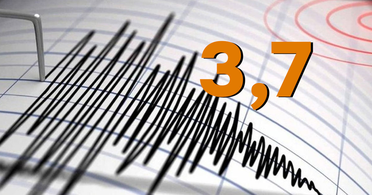 Un cutremur cu magnitudinea 3,7 a zguduit România.