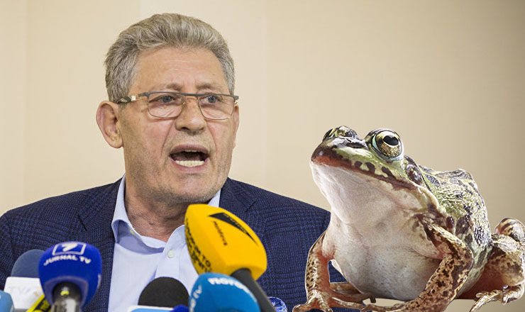 Ghimpu, despre mimarea războiului dintre PDM și PSRM: O văd și broaștele