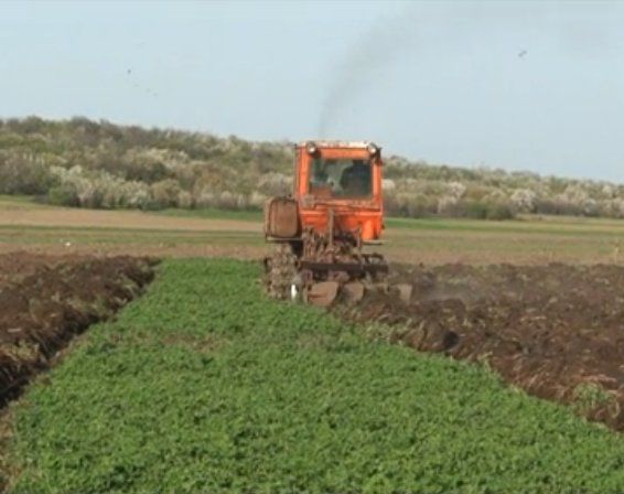 Proprietarul terenului a luat tractorul şi i-a arat toată lucerna cumătrului. Foto: stirilocale.md