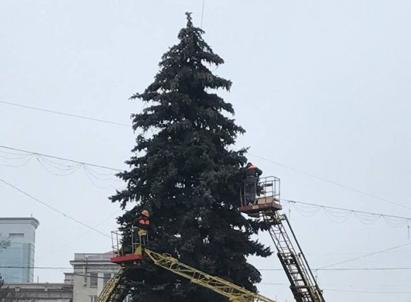 Ель начали украшать к предстоящим праздникам.