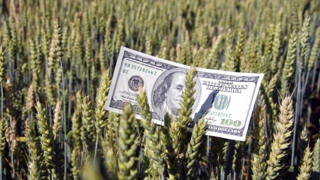 24 milioane de dolari pentru susţinerea agriculturiii. Cum vor fi cheltuiți. Foto simbol: basarabia.md