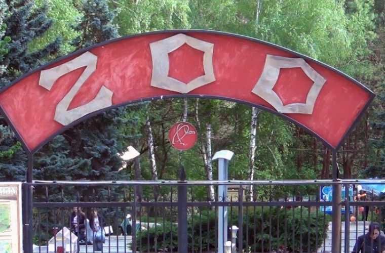 Полным ходом идут работы по подготовке зоны проживания в зоопарке медведей.