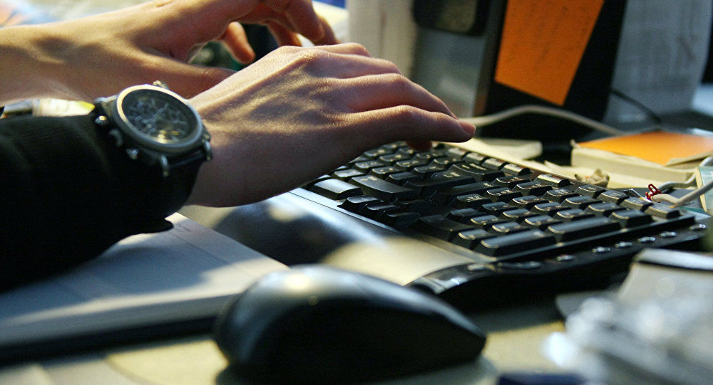Moldovenii vor vota prin internet. Foto: Sputnik/ Ruslan Krivobok