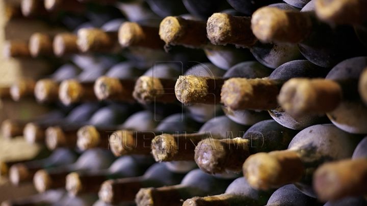 Moldova Wine Route: Aplicația mobilă care va ghida turiștii