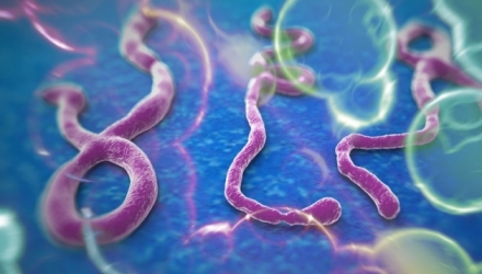 Decizie drastică în Sierra Leone, una dintre ţările cele mai afectate de epidemia de Ebola.