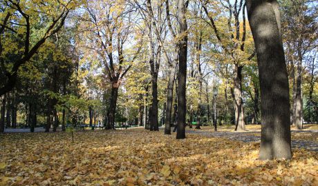 Meteorologii anunţă pentru acest weekend cer variabil, fără precipitaţii. Foto: jurnal.md