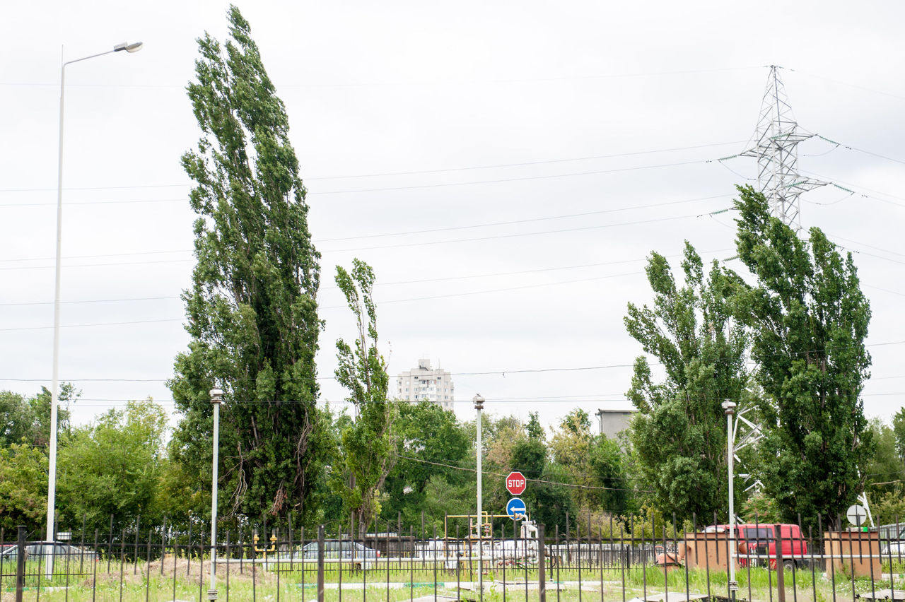 Alertă meteo: Meteorologii anunță Cod Galben de vânt puternic în mai multe zone ale Moldovei.