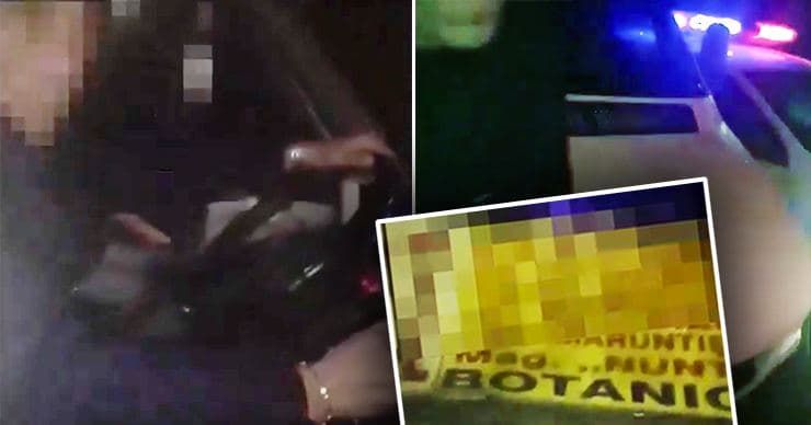 В Кишиневе пьяный водитель маршрутки спровоцировал ДТП. Коллаж: Point.md