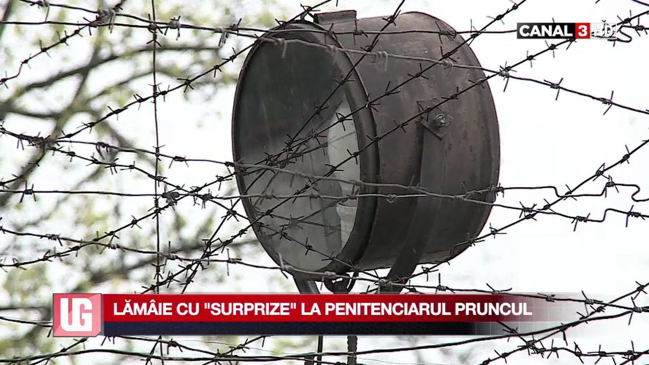 Lămâie cu surprize la penitenciarul Pruncul