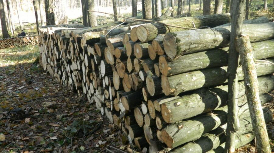 Граждане будут покупать дрова по той же цене, что и в прошлом году.